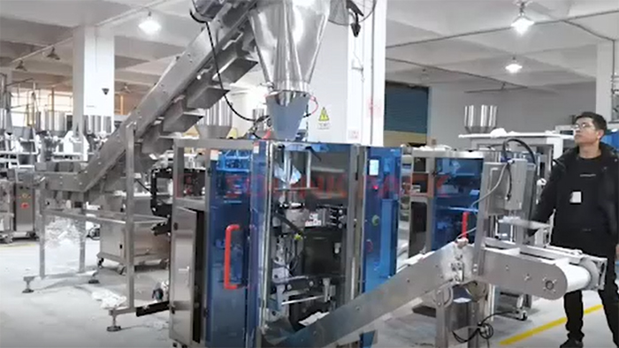 Vertical Form Fill Seal Machine with Large Bucket Chain Conveyor